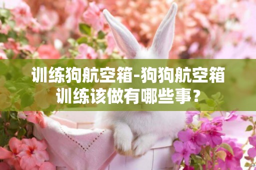 訓練狗航空箱-狗狗航空箱訓練該做有哪些事？