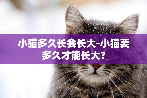 小貓多久長會長大-小貓要多久才能長大？