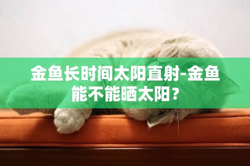 金魚長時間太陽直射-金魚能不能曬太陽？