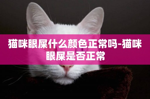 貓咪眼屎什么顏色正常嗎-貓咪眼屎是否正常