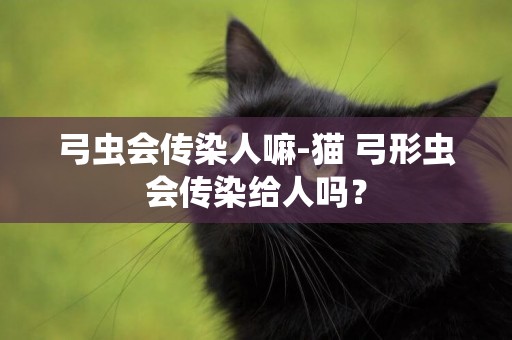 弓蟲會傳染人嘛-貓 弓形蟲會傳染給人嗎？