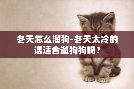 冬天怎么溜狗-冬天太冷的話適合遛狗狗嗎？