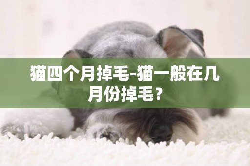 貓四個月掉毛-貓一般在幾月份掉毛？
