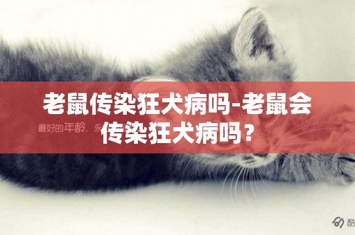 老鼠傳染狂犬病嗎-老鼠會傳染狂犬病嗎？