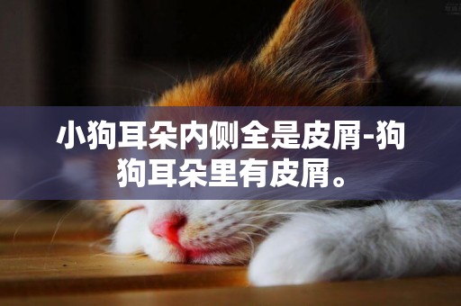 小狗耳朵內側全是皮屑-狗狗耳朵里有皮屑。