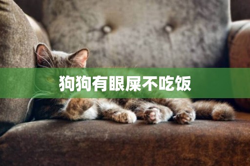狗狗有眼屎不吃飯