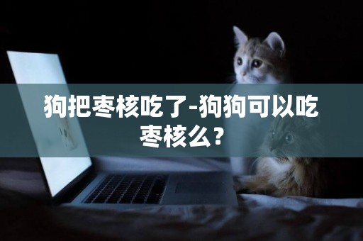 狗把棗核吃了-狗狗可以吃棗核么？