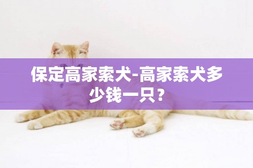 保定高家索犬-高家索犬多少錢一只？