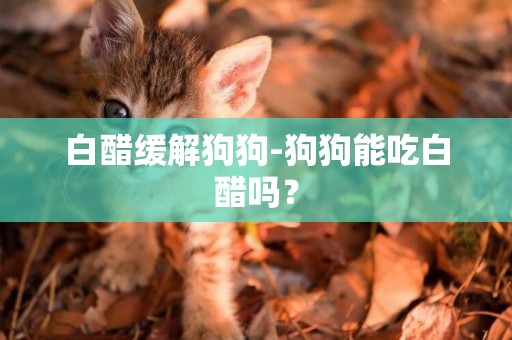 白醋緩解狗狗-狗狗能吃白醋嗎？