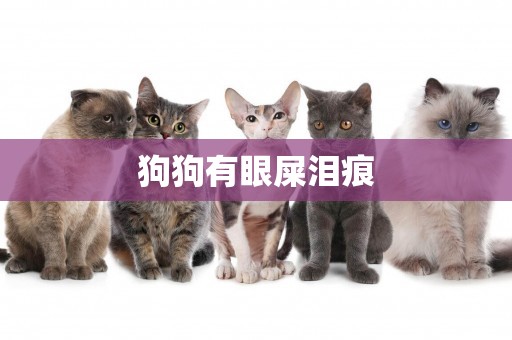 狗狗有眼屎淚痕