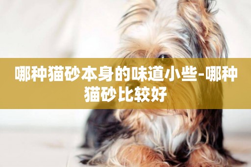 哪種貓砂本身的味道小些-哪種貓砂比較好