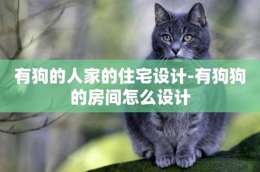有狗的人家的住宅設計-有狗狗的房間怎么設計