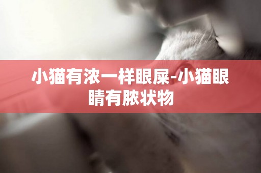 小貓有濃一樣眼屎-小貓眼睛有膿狀物