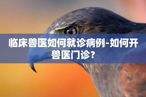 臨床獸醫如何就診病例-如何開獸醫門診？