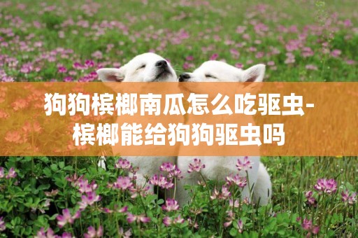 狗狗檳榔南瓜怎么吃驅蟲-檳榔能給狗狗驅蟲嗎