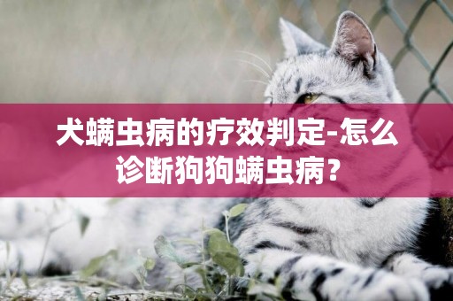 犬螨蟲病的療效判定-怎么診斷狗狗螨蟲病？