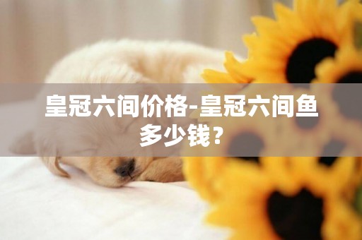 皇冠六間價格-皇冠六間魚多少錢？
