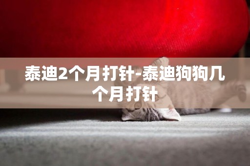 泰迪2個月打針-泰迪狗狗幾個月打針