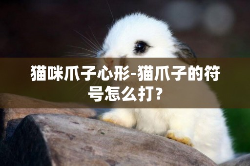 貓咪爪子心形-貓爪子的符號怎么打？