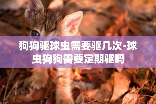 狗狗驅球蟲需要驅幾次-球蟲狗狗需要定期驅嗎