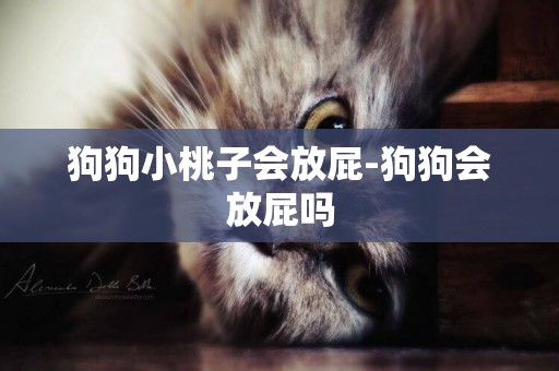 狗狗小桃子會放屁-狗狗會放屁嗎