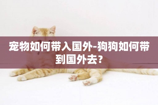 寵物如何帶入國外-狗狗如何帶到國外去？