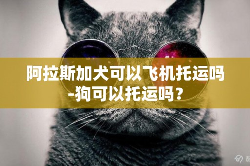 阿拉斯加犬可以飛機托運嗎-狗可以托運嗎？