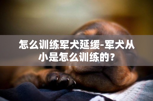 怎么訓練軍犬延緩-軍犬從小是怎么訓練的？