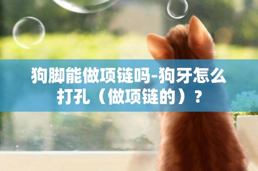 狗腳能做項鏈嗎-狗牙怎么打孔（做項鏈的）？