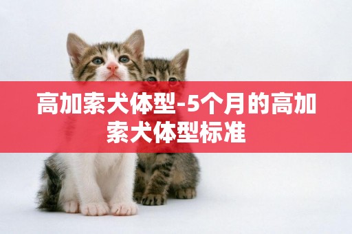 高加索犬體型-5個月的高加索犬體型標準