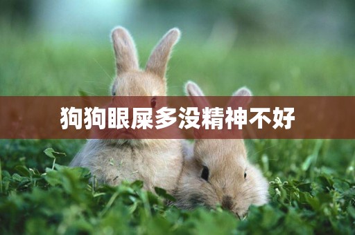 狗狗眼屎多沒精神不好