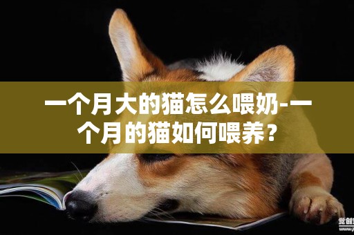 一個月大的貓怎么喂奶-一個月的貓如何喂養？