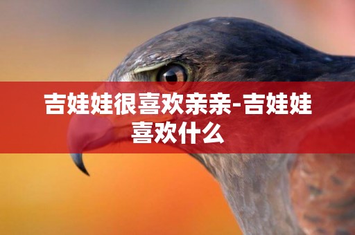 吉娃娃很喜歡親親-吉娃娃喜歡什么