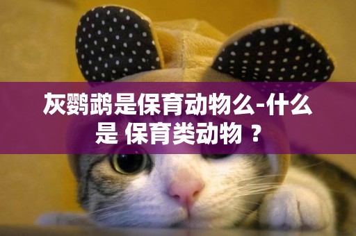 灰鸚鵡是保育動物么-什么是 保育類動物 ？
