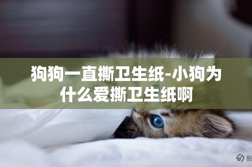 狗狗一直撕衛生紙-小狗為什么愛撕衛生紙啊