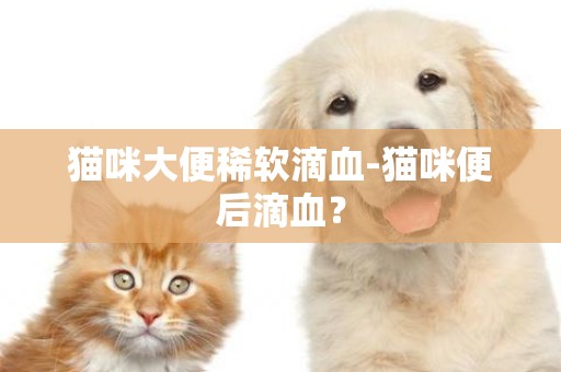 貓咪大便稀軟滴血-貓咪便后滴血？