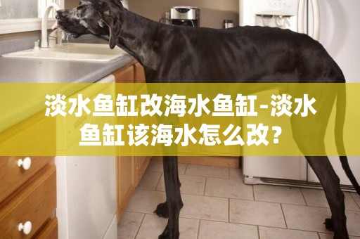 淡水魚缸改海水魚缸-淡水魚缸該海水怎么改？