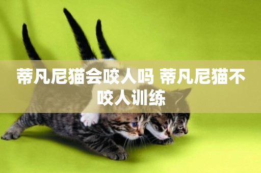 蒂凡尼貓會咬人嗎 蒂凡尼貓不咬人訓練