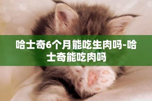 哈士奇6個月能吃生肉嗎-哈士奇能吃肉嗎