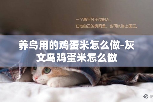 養鳥用的雞蛋米怎么做-灰文鳥雞蛋米怎么做