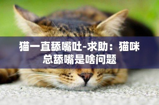 貓一直舔嘴吐-求助：貓咪總舔嘴是啥問題
