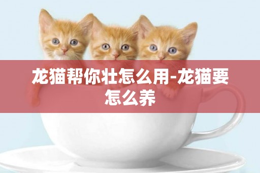 龍貓幫你壯怎么用-龍貓要怎么養
