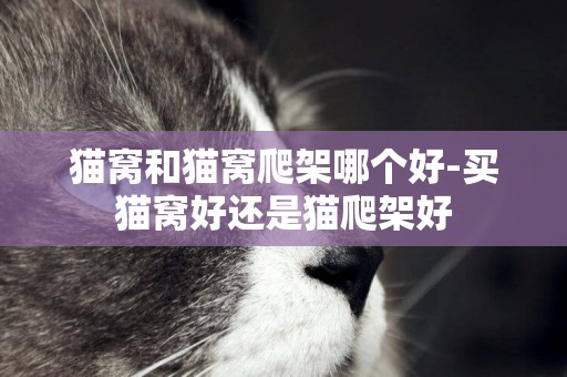 貓窩和貓窩爬架哪個好-買貓窩好還是貓爬架好