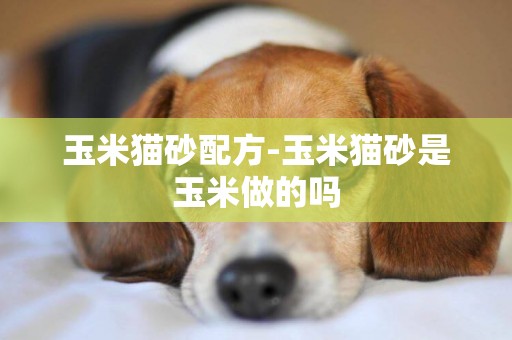 玉米貓砂配方-玉米貓砂是玉米做的嗎