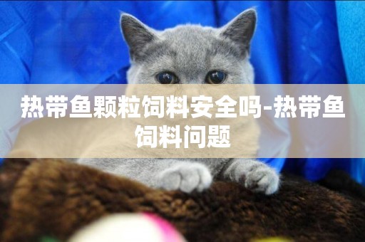 熱帶魚顆粒飼料安全嗎-熱帶魚飼料問題