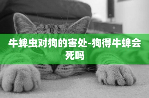 牛蜱蟲對狗的害處-狗得牛蜱會死嗎