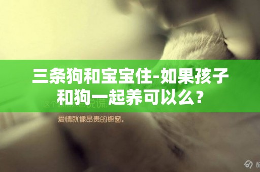 三條狗和寶寶住-如果孩子和狗一起養可以么？