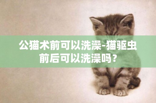 公貓術前可以洗澡-貓驅蟲前后可以洗澡嗎？