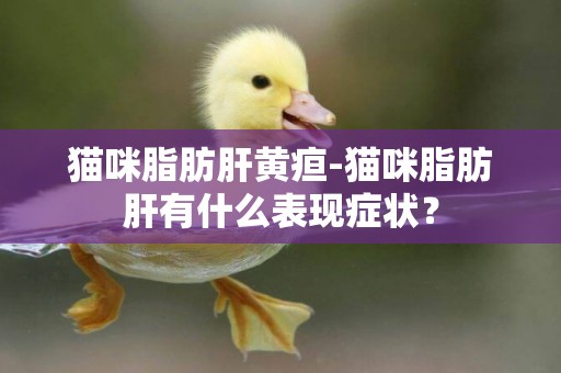 貓咪脂肪肝黃疸-貓咪脂肪肝有什么表現癥狀？