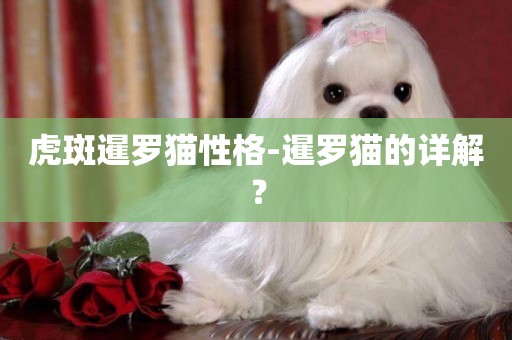 虎斑暹羅貓性格-暹羅貓的詳解？